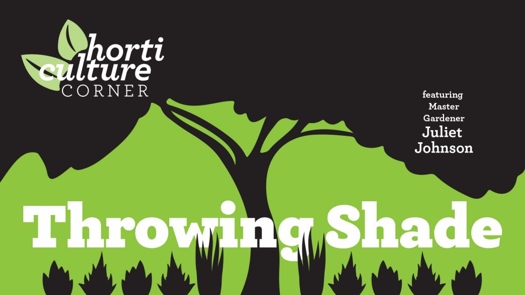 Horticulture Corner Throwing Shade Garden Club of Jacksonville