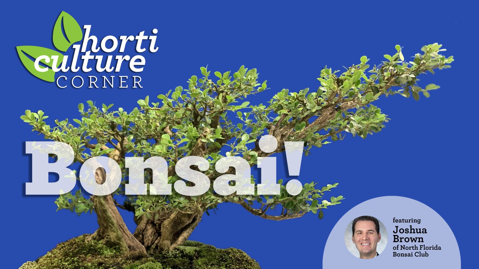 Events Archive Garden Club of Jacksonville