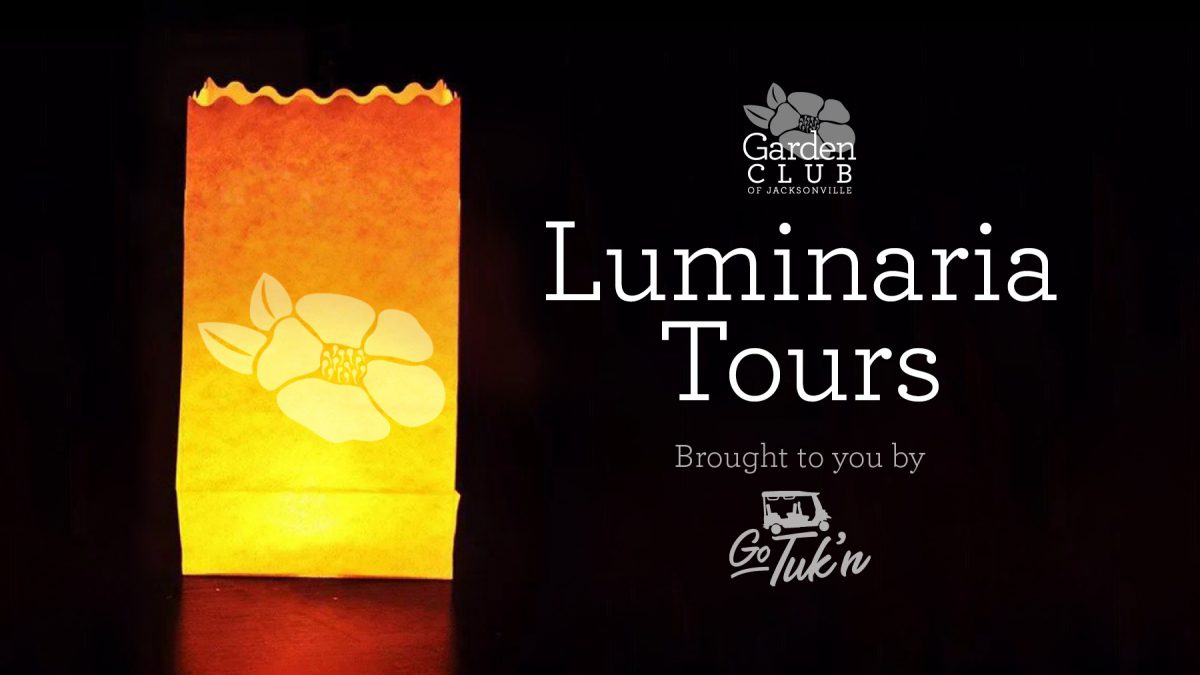 2019 Luminaria Night Garden Club of Jacksonville