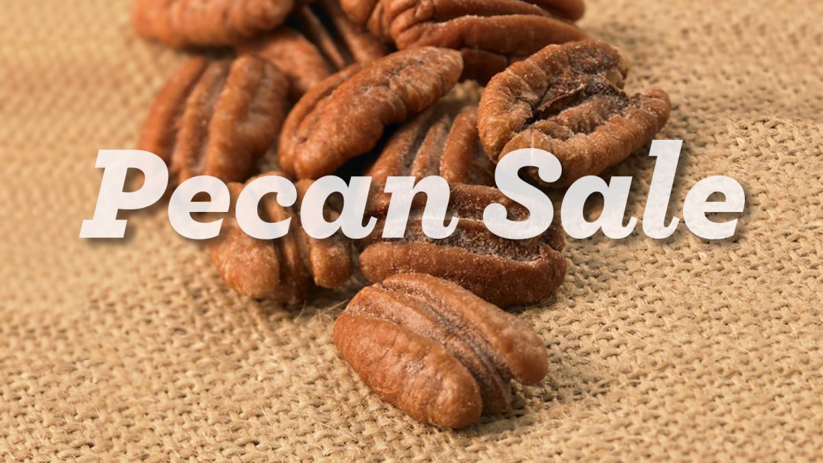 It's time to order pecans! Garden Club of Jacksonville