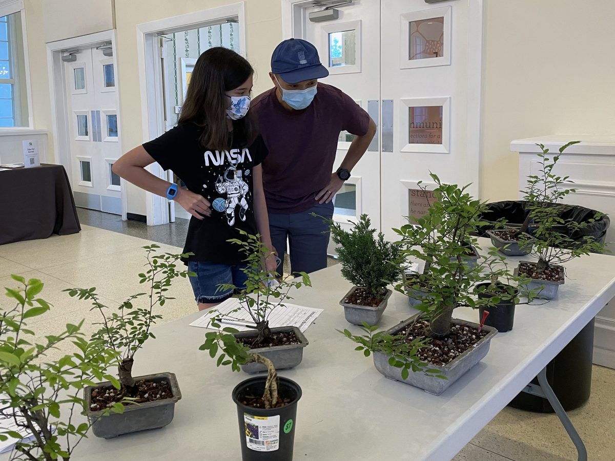 Horticulture Corner Bonsai! Garden Club of Jacksonville