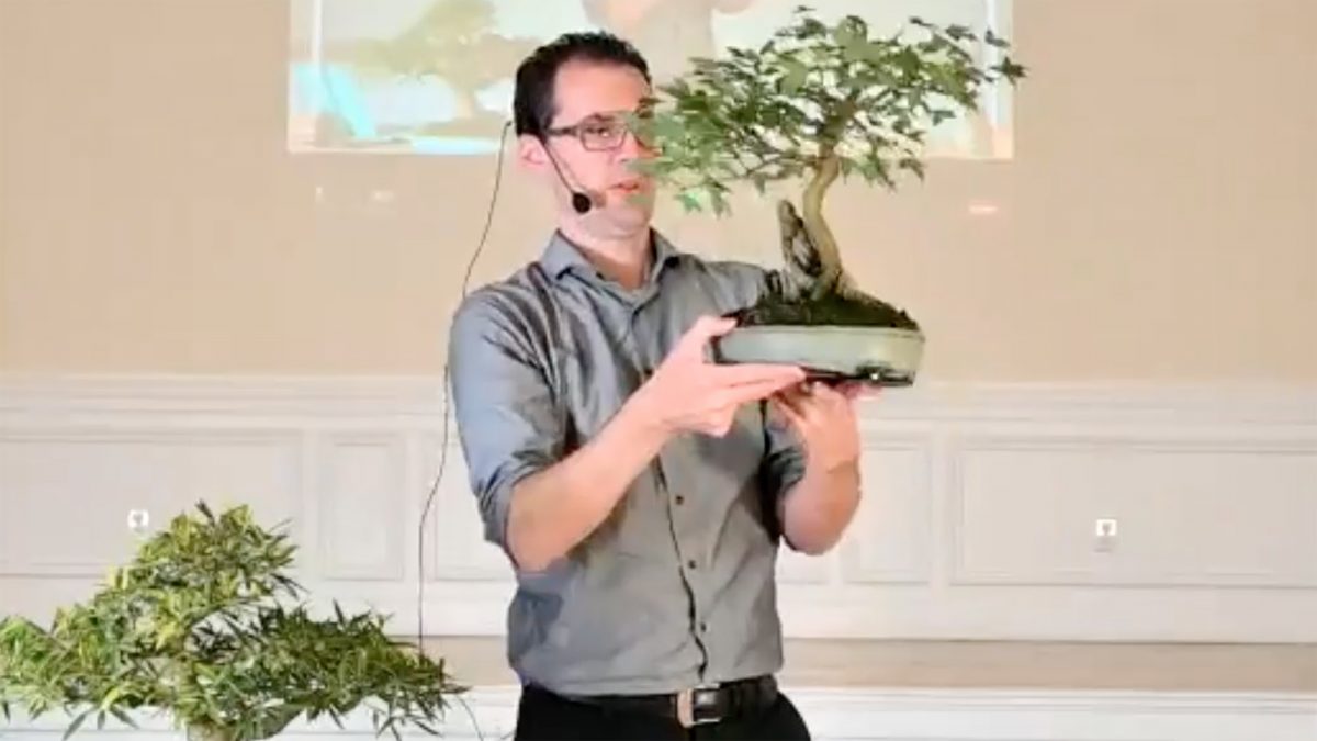 Horticulture Corner Bonsai! Garden Club of Jacksonville
