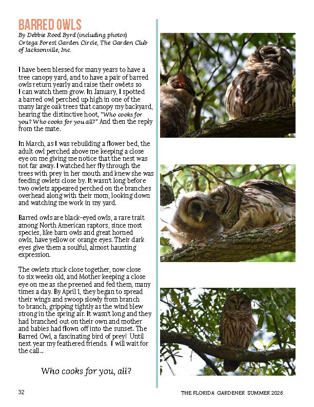 TFG Summer 2026_Page_2