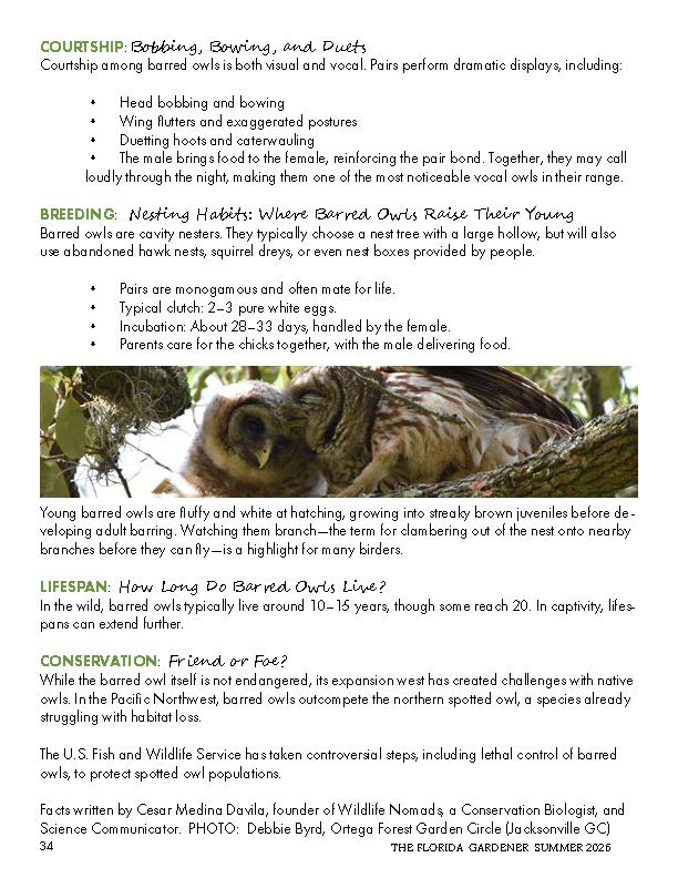 TFG Summer 2026_Page_4