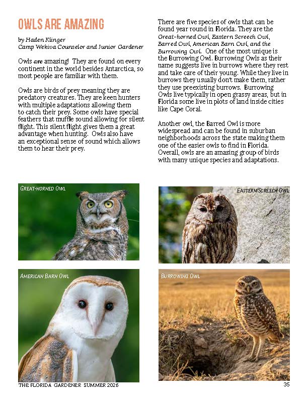 TFG Summer 2026_Page_5